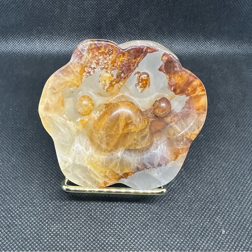 Golden healer Paw print